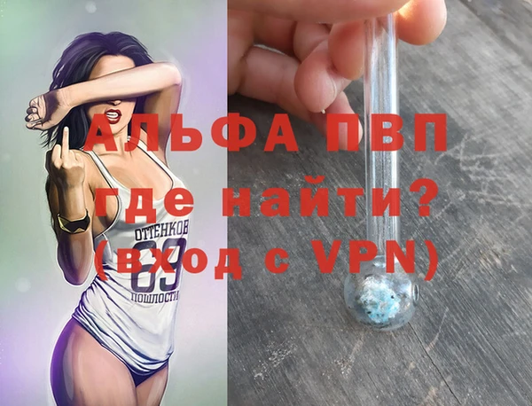 дмт Белокуриха