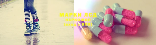 гашик Армянск