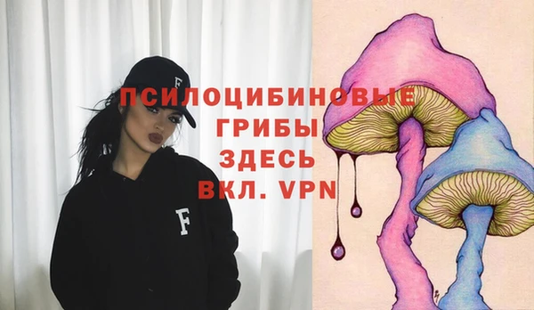 дурь Балахна