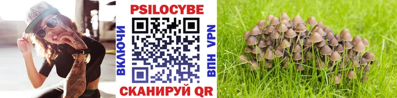 Псилоцибиновые грибы прущие грибы  хочу наркоту  Вихоревка 